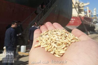 تایید مجوز استاندارد برای جوهای حشره زده