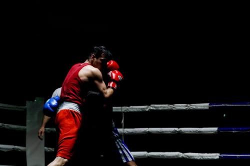 پایان دور نخست مسابقات بوکس انتخابی المپیک با پیروزی ایرانیها